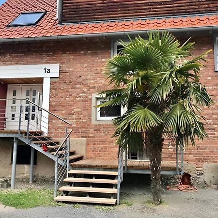 Komfortables Doppelzimmer In Kehl Goldscheuer - 1A Guesthouse Exterior foto
